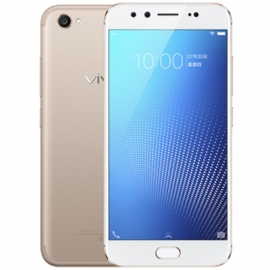 vivo X9S